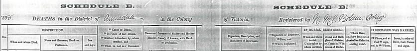 1898 Heading of Edward LEE's death certificate