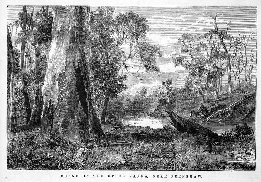 How Good a Wood Engraver was Edward LEE? Cicadas, Bees and Barge Poles